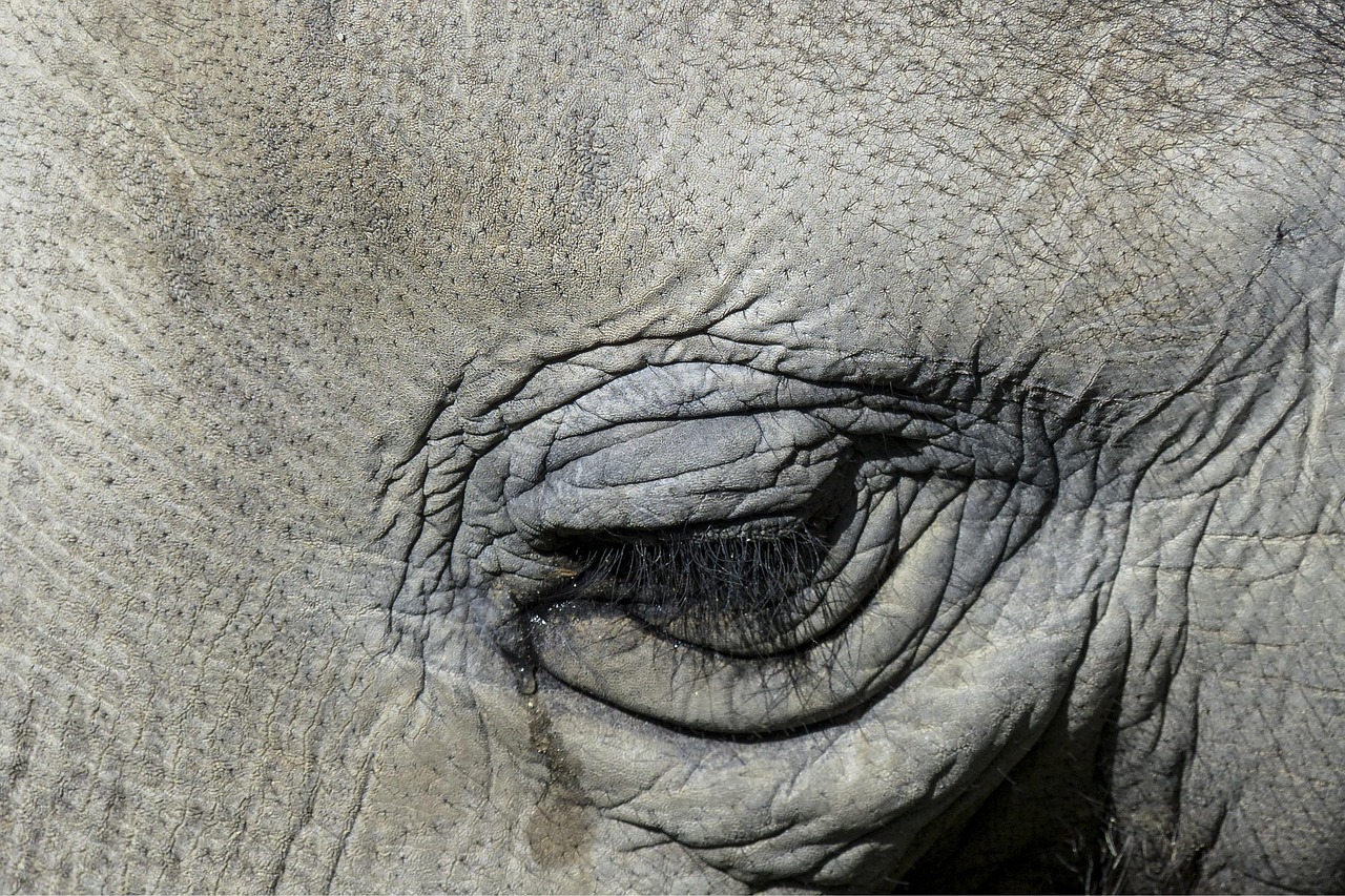 毛穴の悩みを美容皮膚科でカウンセリングして確認することは何ですか？