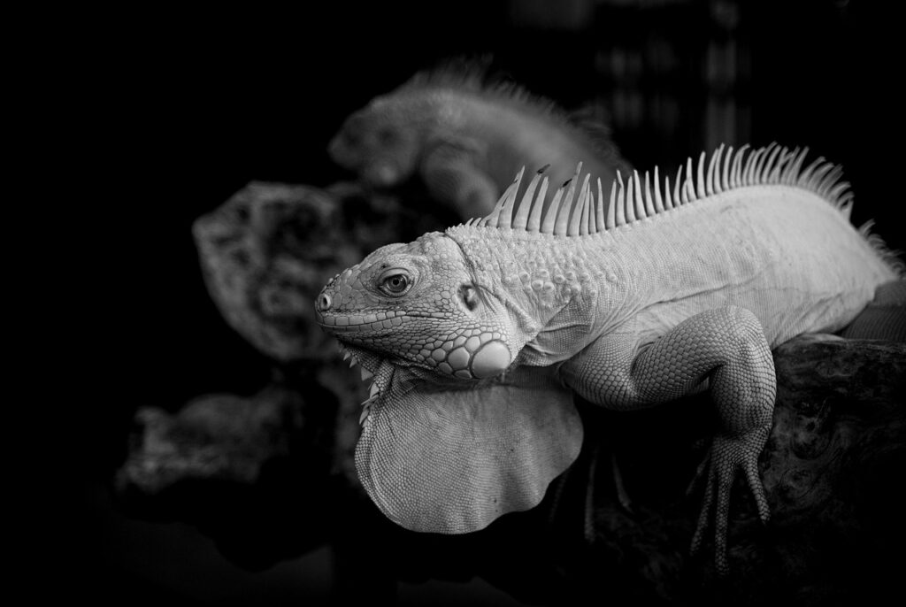 CICAで毛穴の赤みを抑える効果はあるの？