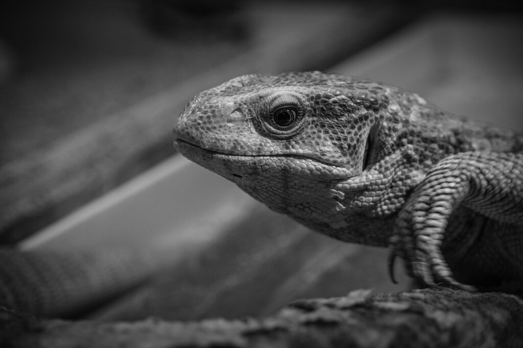 マッサージピールで毛穴の悩みを解消する効果はある？