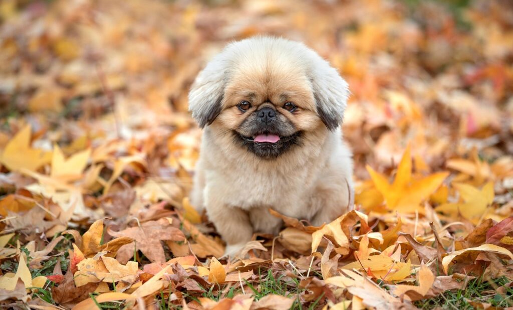 マッサージピールは毛穴に効果あるのか？