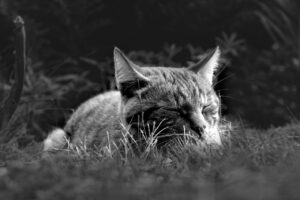 睡眠不足が毛穴の悪化を引き起こす原因とは？