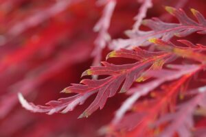 インナードライ肌に悩む方必見の毛穴対策スキンケア方法は？