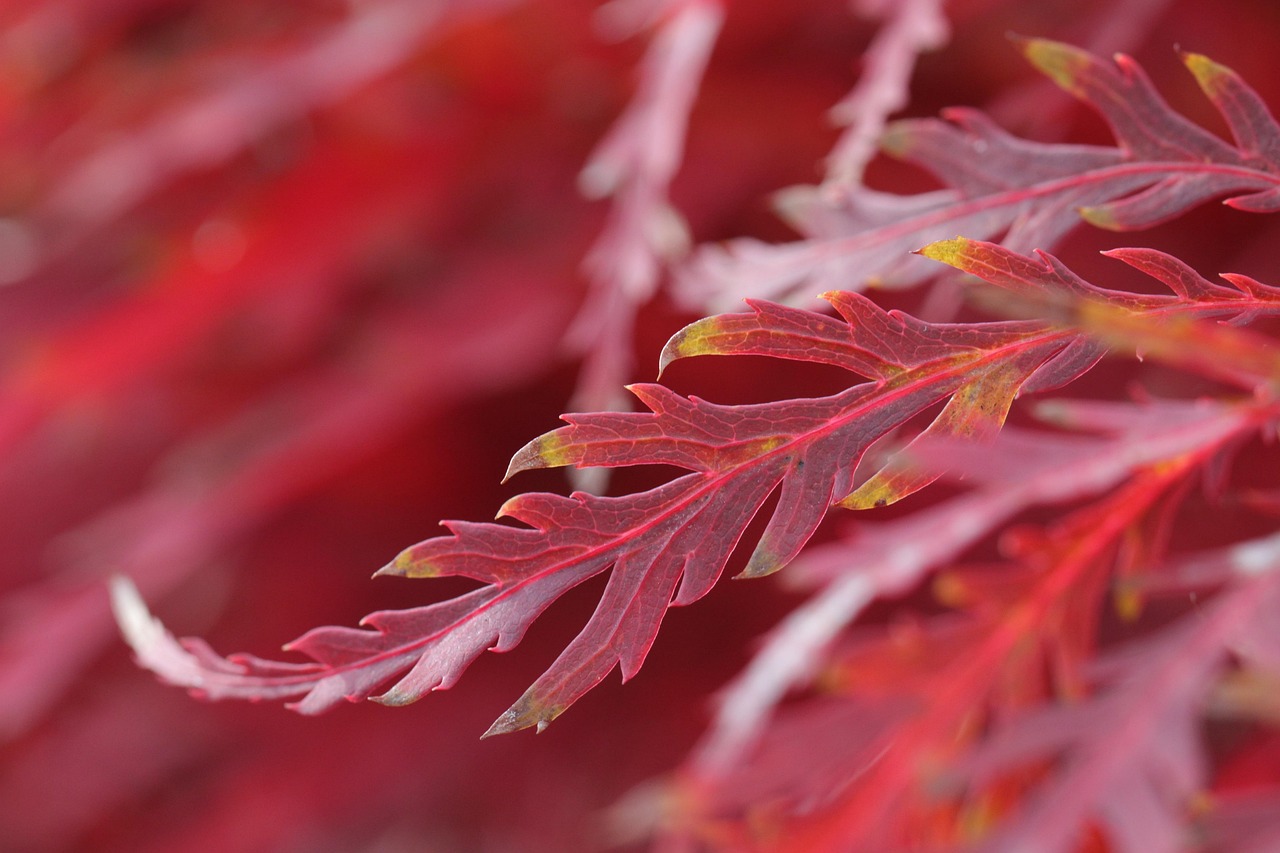 インナードライ肌に悩む方必見の毛穴対策スキンケア方法は？