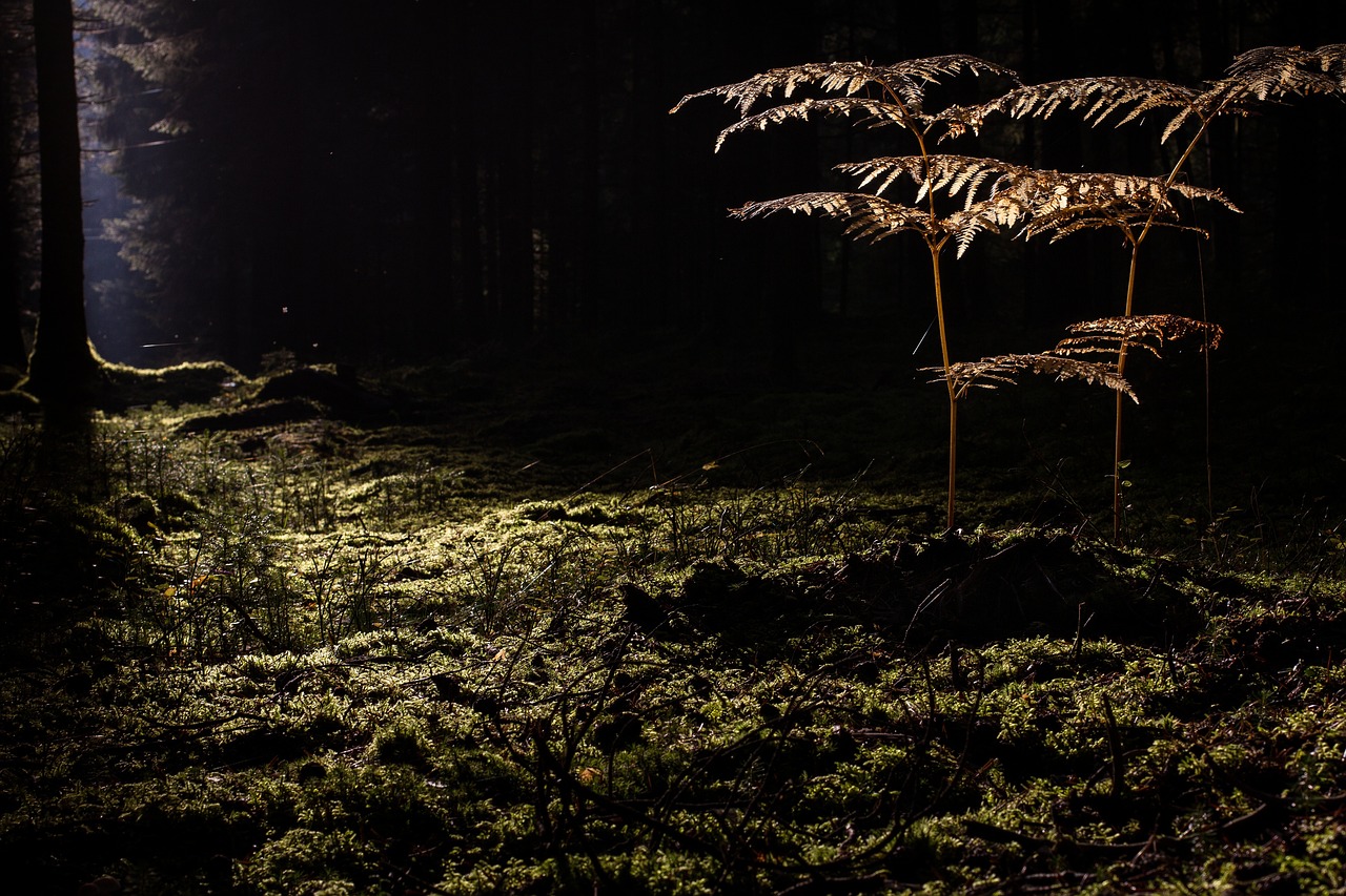 毛穴ケアに最適な成分レチノールの効果とは？