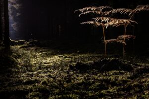 毛穴ケアの習慣を効果的に作り方は？