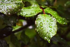 毛穴の保湿が大事な理由とは？