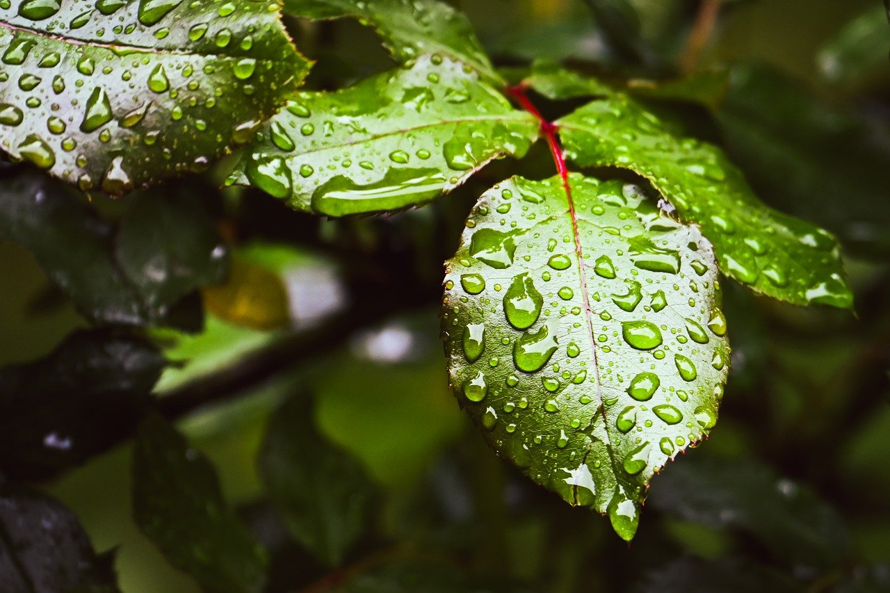 毛穴の保湿が大事な理由とは？